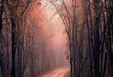 PG电子官网:尤文总监:没有考虑扩大主场容量,会在主场安排一些其他商业活动.