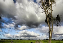 PG电子官网：[举重]全国举重锦标赛 男子102公斤级决赛.