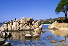 PG电子官网：德媒：基米希收到的国外报价吸引力不大，续约没加薪&签字费.